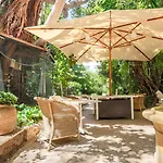 Le Windsor, Jungle Art Hotel