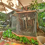 Le Windsor, Jungle Art Hotel