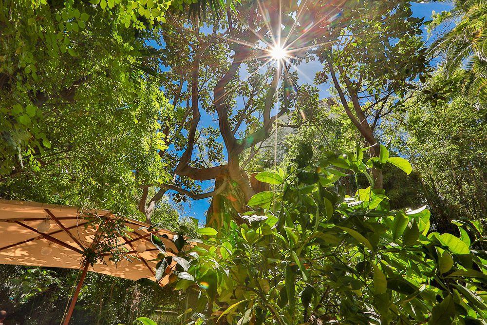 Le Windsor, Jungle Art 4* Nizza