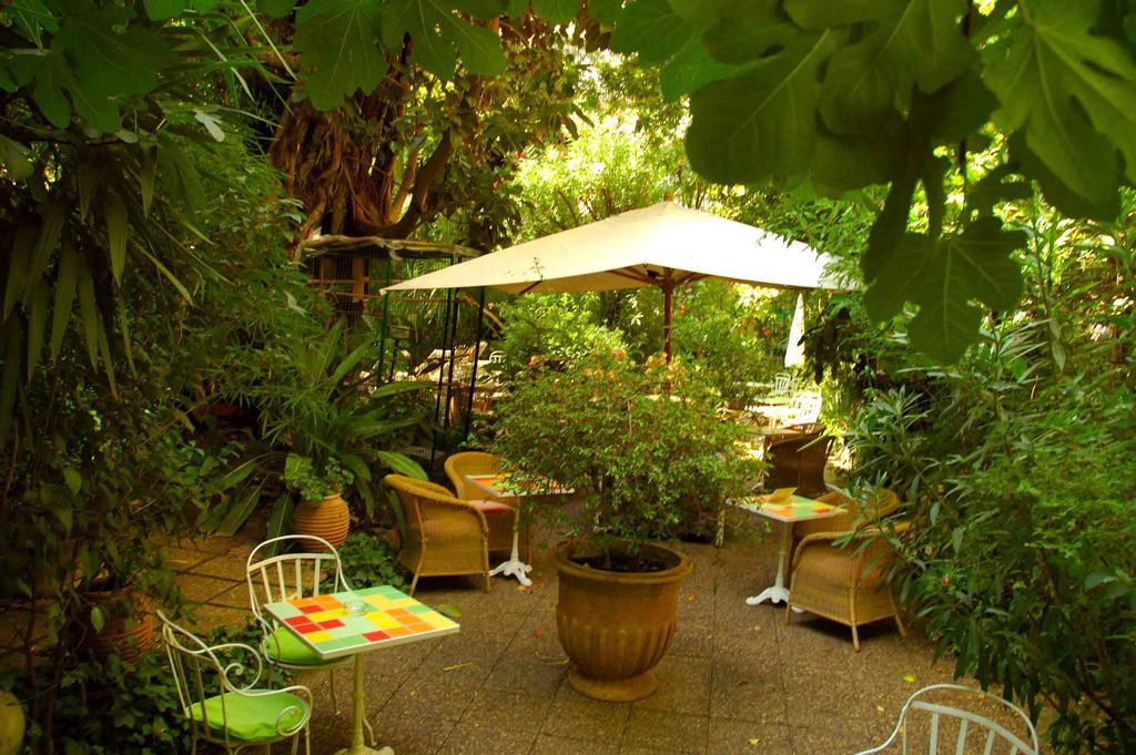 Le Windsor, Jungle Art Nizza