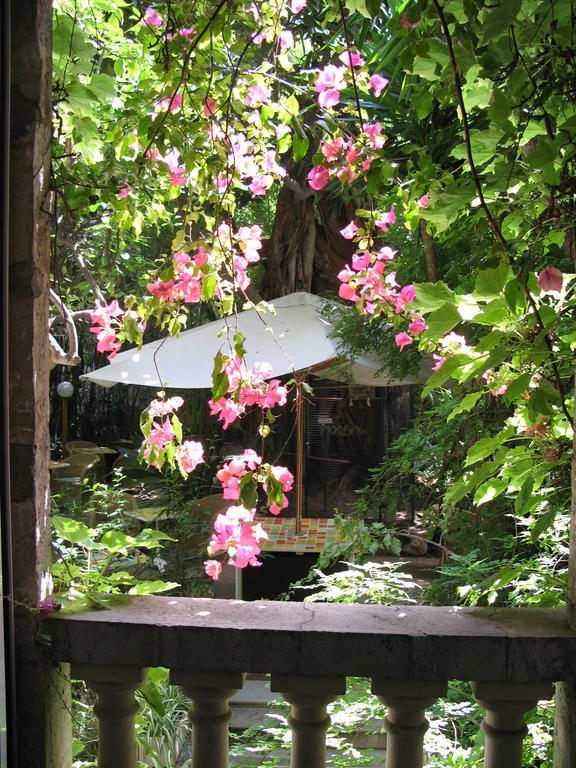 Le Windsor, Jungle Art 4* Nizza